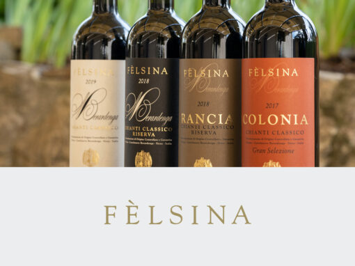 Fèlsina